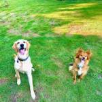 Photo of Bentley & Cooper