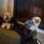 Photo of Yote and Maggie