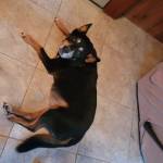 Photo of Mercy & Isiah