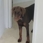 Photo of Xena & Zaku