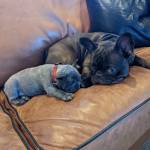 Photo of Lily & Leonard