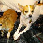 Photo of Star2.0. Jefe