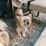 Photo of Izzy & Cody