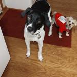 Photo of Klied and Maggie