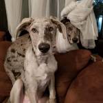 Photo of Colt & Brady