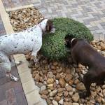 Photo of Betty and Louise