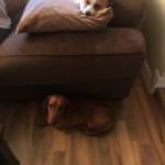 Photo of Redd/Tucker/ Reba