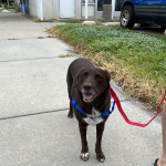 Photo of Franki & Nala