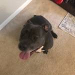 Photo of Brooklyn/Cheche