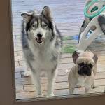 Photo of Biggie & Jaxx