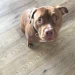 Photo of Jason Tyler / Mill house