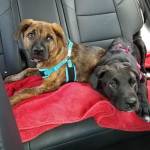 Photo of Forrest and Jenny