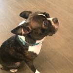 Photo of Mickey and Minnie