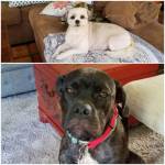 Photo of Zaren & Dezzie