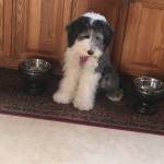 Photo of Justine & Annie