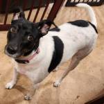 Photo of Gia & Giacamo