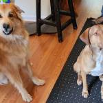 Photo of Bortus & Pogo