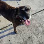 Photo of Dora & Sydney