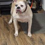 Photo of Tucker & Frank