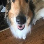 Photo of Ellie & Colleen