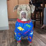 Photo of Walker Hayes