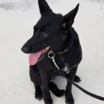 Photo of Kloe & Koda