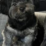 Photo of Jordy & Brooks