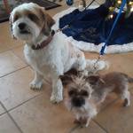 Photo of Bentley and Bailey