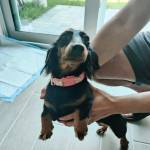 Photo of Muva - Mimosa - Mocha