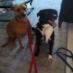 Photo of Mia and Rudy