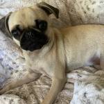 Photo of Khamila / Bella