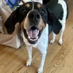 Photo of Alan Hughes