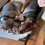 Photo of Berkeley & Bentley