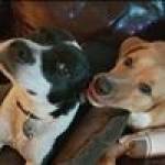 Photo of Fuck & Finn