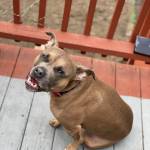 Photo of Cee Cee (Weech)