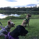 Photo of Egypt, Cairo, and Cleo