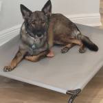 Photo of Pyra and Newbury