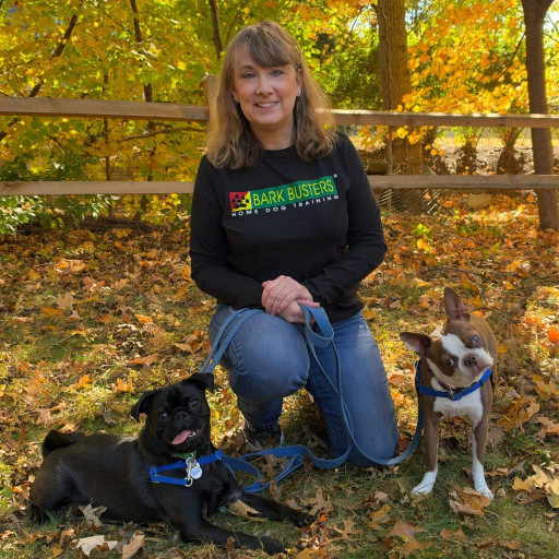 Bark Busters dog trainer in Westchester kneeling with two dogs