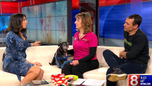 News 8 with Bark Busters Trainer Nicole Martel