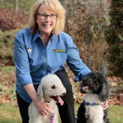 Bark Busters professional dog trainer in Des Moines