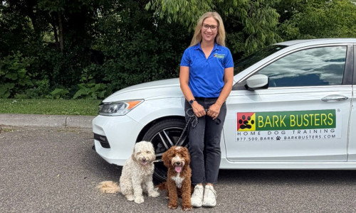 Bark Busters dog trainer in Minneapolis St. Paul
