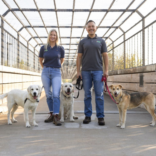 Man and women on a covered walkway with three happy dogs