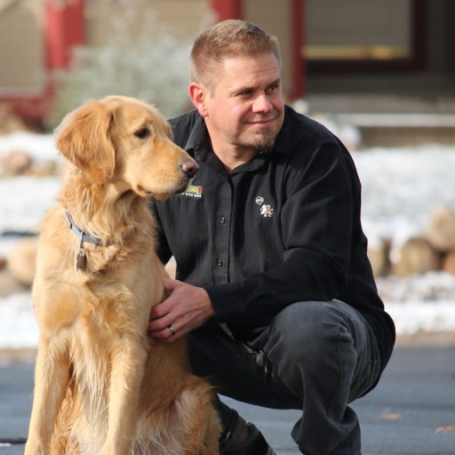 Professional dog trainer works with golden retriever outside a clients home 