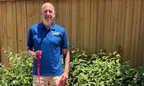 Bark Busters dog trainer in denver colorado