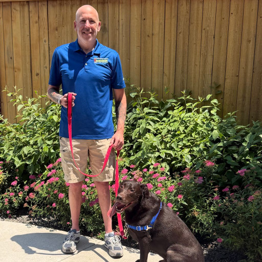 Bark Busters dog trainer in denver colorado