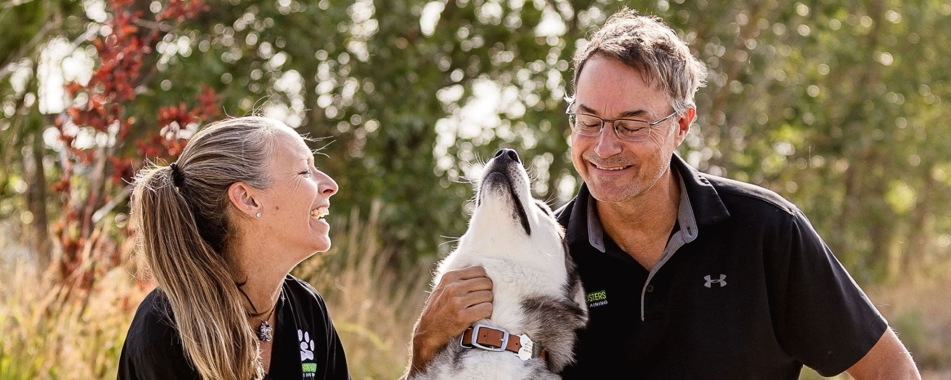 Dog Training in Northern Colorado