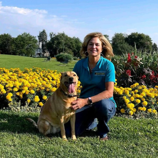 Bark busters dog trainer in denver southeast