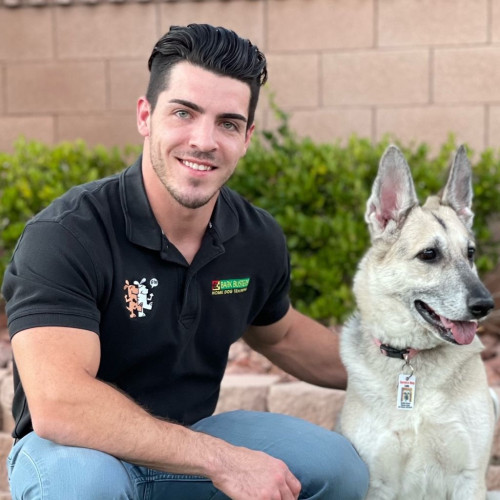 Bark Busters - Houston Central, Texas
