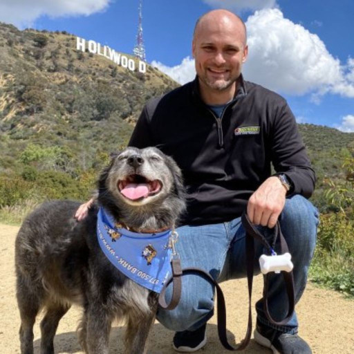 Professional dog trainer leash walking a dog in the Hollywood hills