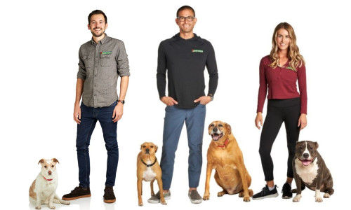 Greater San Diego dog trainers James Justin Jenna